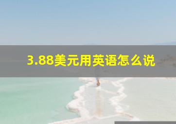 3.88美元用英语怎么说