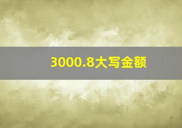 3000.8大写金额