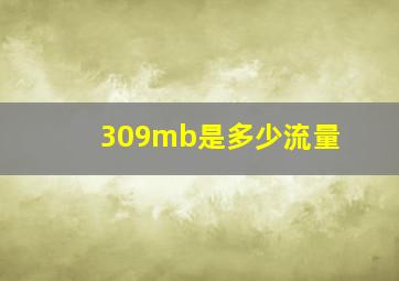 309mb是多少流量