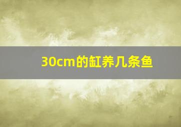 30cm的缸养几条鱼