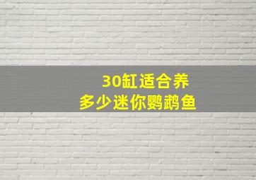 30缸适合养多少迷你鹦鹉鱼