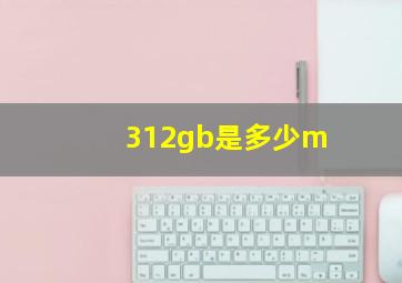 312gb是多少m