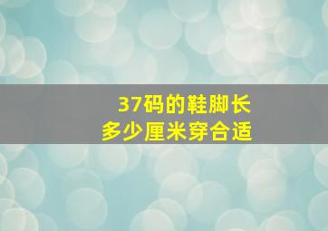 37码的鞋脚长多少厘米穿合适