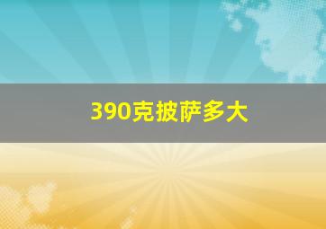 390克披萨多大