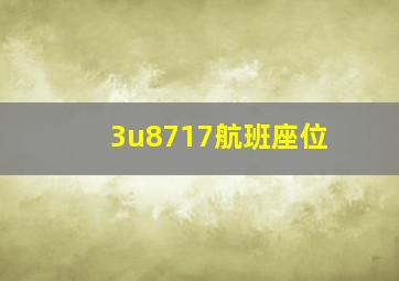 3u8717航班座位