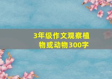 3年级作文观察植物或动物300字