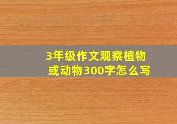 3年级作文观察植物或动物300字怎么写