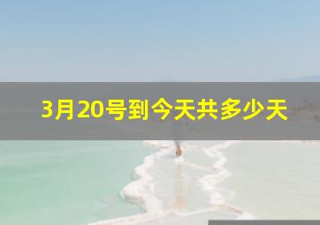 3月20号到今天共多少天