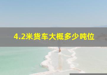 4.2米货车大概多少吨位