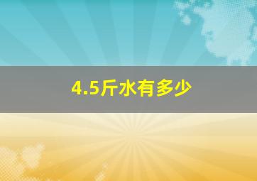 4.5斤水有多少