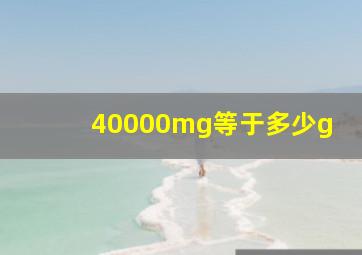 40000mg等于多少g