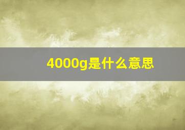 4000g是什么意思