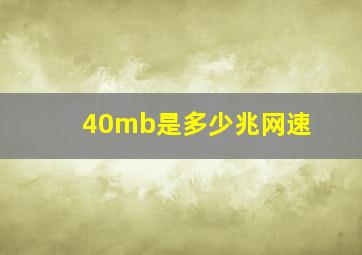 40mb是多少兆网速