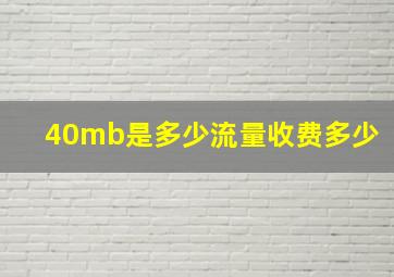 40mb是多少流量收费多少