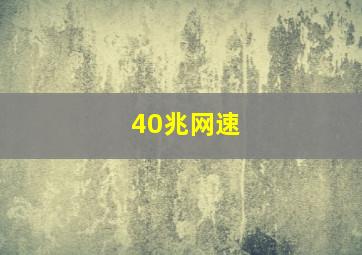 40兆网速