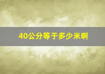 40公分等于多少米啊