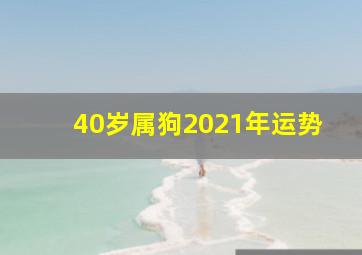 40岁属狗2021年运势