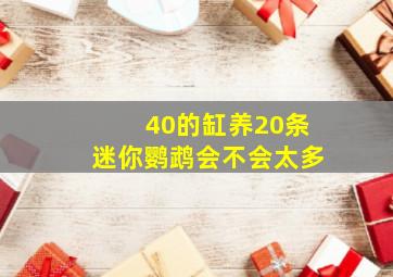 40的缸养20条迷你鹦鹉会不会太多