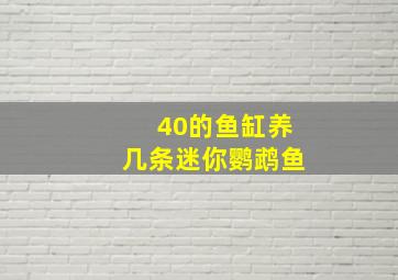 40的鱼缸养几条迷你鹦鹉鱼