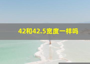 42和42.5宽度一样吗