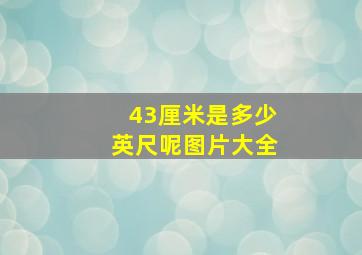 43厘米是多少英尺呢图片大全