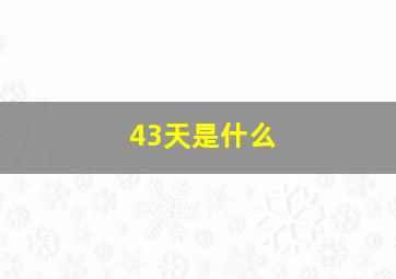 43天是什么