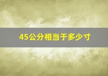 45公分相当于多少寸