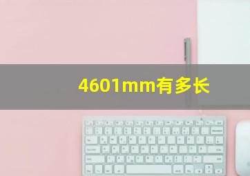 4601mm有多长