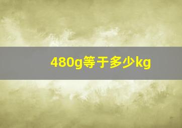 480g等于多少kg