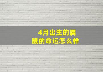 4月出生的属鼠的命运怎么样