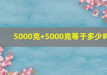 5000克+5000克等于多少吨