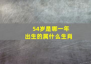 54岁是哪一年出生的属什么生肖