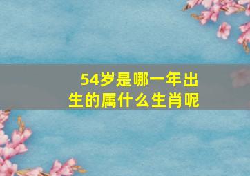 54岁是哪一年出生的属什么生肖呢