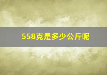 558克是多少公斤呢