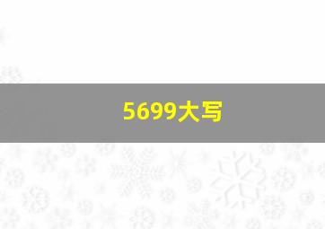 5699大写