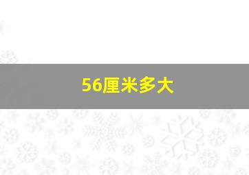 56厘米多大