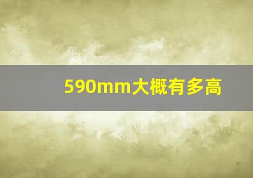 590mm大概有多高