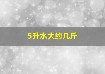 5升水大约几斤