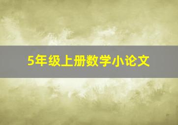 5年级上册数学小论文