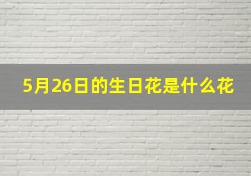 5月26日的生日花是什么花