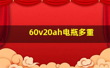 60v20ah电瓶多重