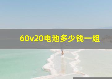 60v20电池多少钱一组