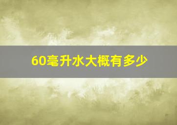 60毫升水大概有多少