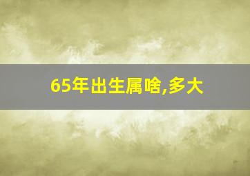 65年出生属啥,多大