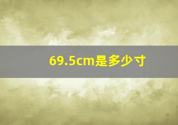 69.5cm是多少寸