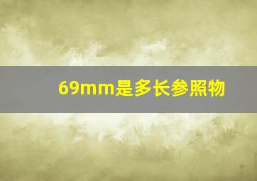 69mm是多长参照物