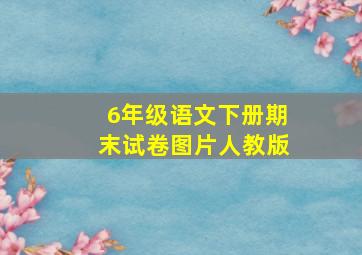 6年级语文下册期末试卷图片人教版