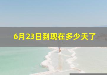 6月23日到现在多少天了