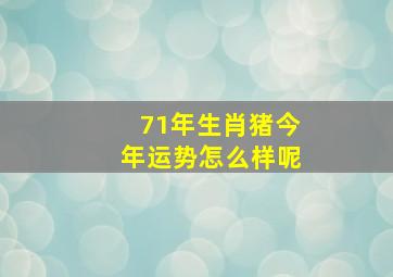 71年生肖猪今年运势怎么样呢