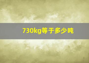 730kg等于多少吨